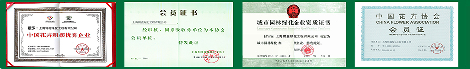 解决方案