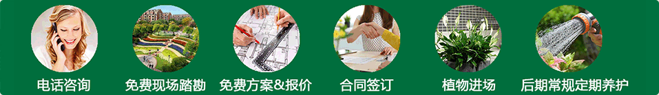 业务范围